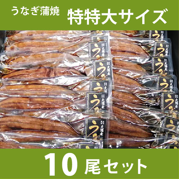 うなぎ蒲焼 特特大サイズ10尾セット