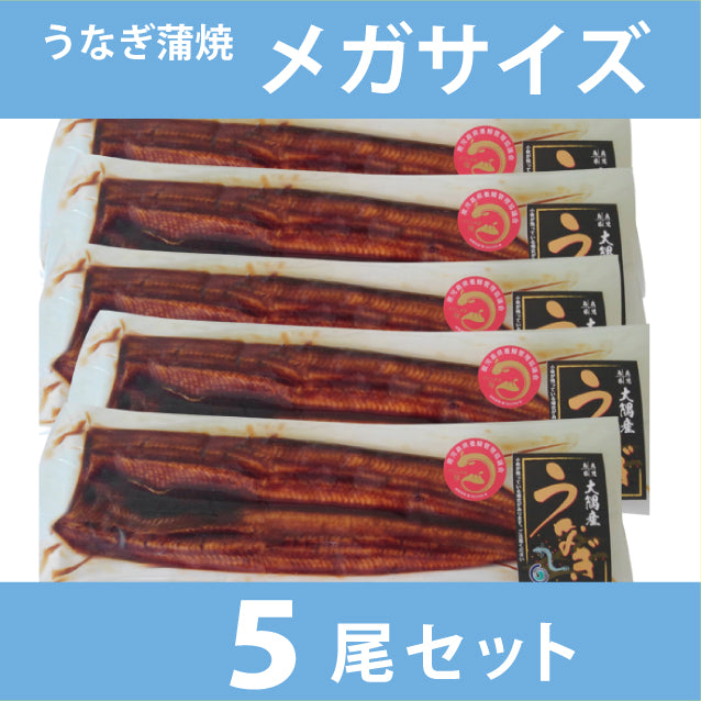 うなぎ蒲焼 メガサイズ5尾セット