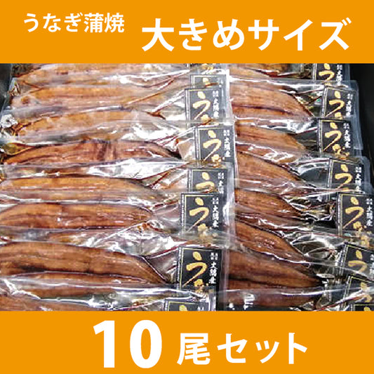 うなぎ蒲焼 大きめサイズ20尾セット