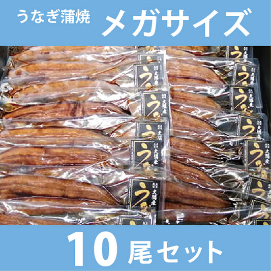 うなぎ蒲焼 メガサイズ10尾セット