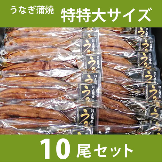 うなぎ蒲焼 特特大サイズ10尾セット